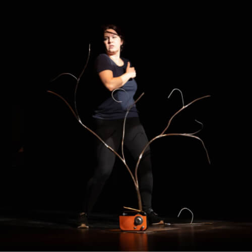 spectacle-au-pied-du-grillage-estelle-doumeng